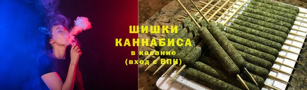 ПСИЛОЦИБИНОВЫЕ ГРИБЫ Алзамай