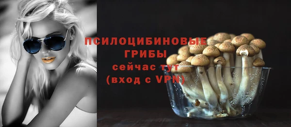 ПСИЛОЦИБИНОВЫЕ ГРИБЫ Алзамай