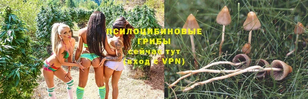 ПСИЛОЦИБИНОВЫЕ ГРИБЫ Алзамай