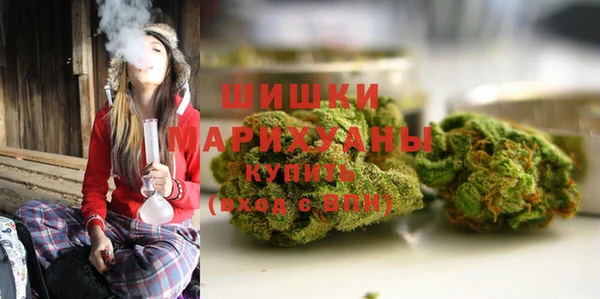 ПСИЛОЦИБИНОВЫЕ ГРИБЫ Алзамай