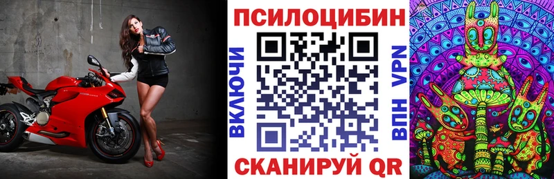 Псилоцибиновые грибы Psilocybe Ипатово